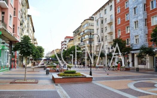 Двустаен апартамент на бул.Витоша