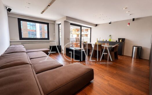 Appartement élégant de deux chambres à louer près du Paradise Center et du métro